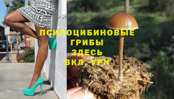 прущие крисы Володарск