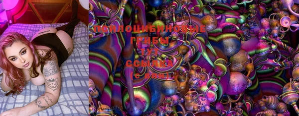apvp Верхний Тагил