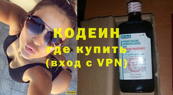прущие грибы Вяземский