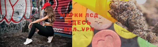 прущие грибы Вяземский