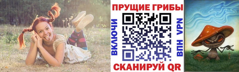 Галлюциногенные грибы ЛСД  mega tor  Данилов 